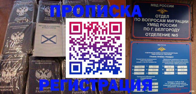 прописка гарантия в Шали